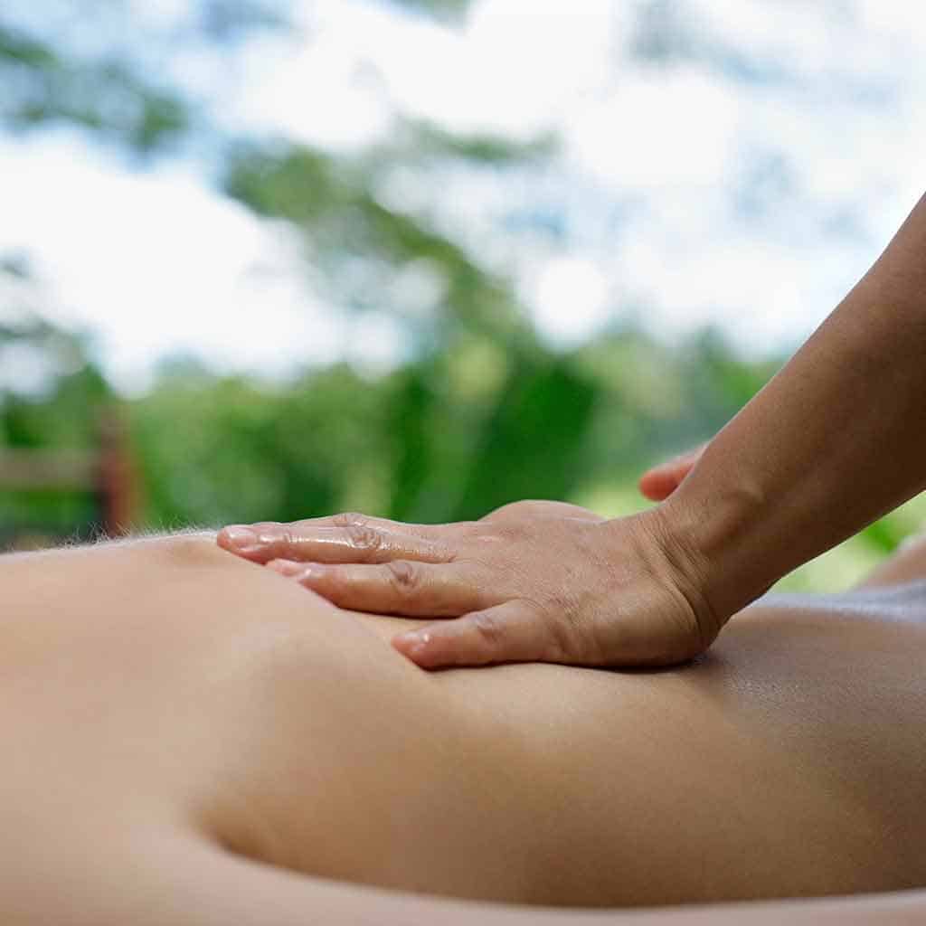 Back Massage Chiropractic Albany